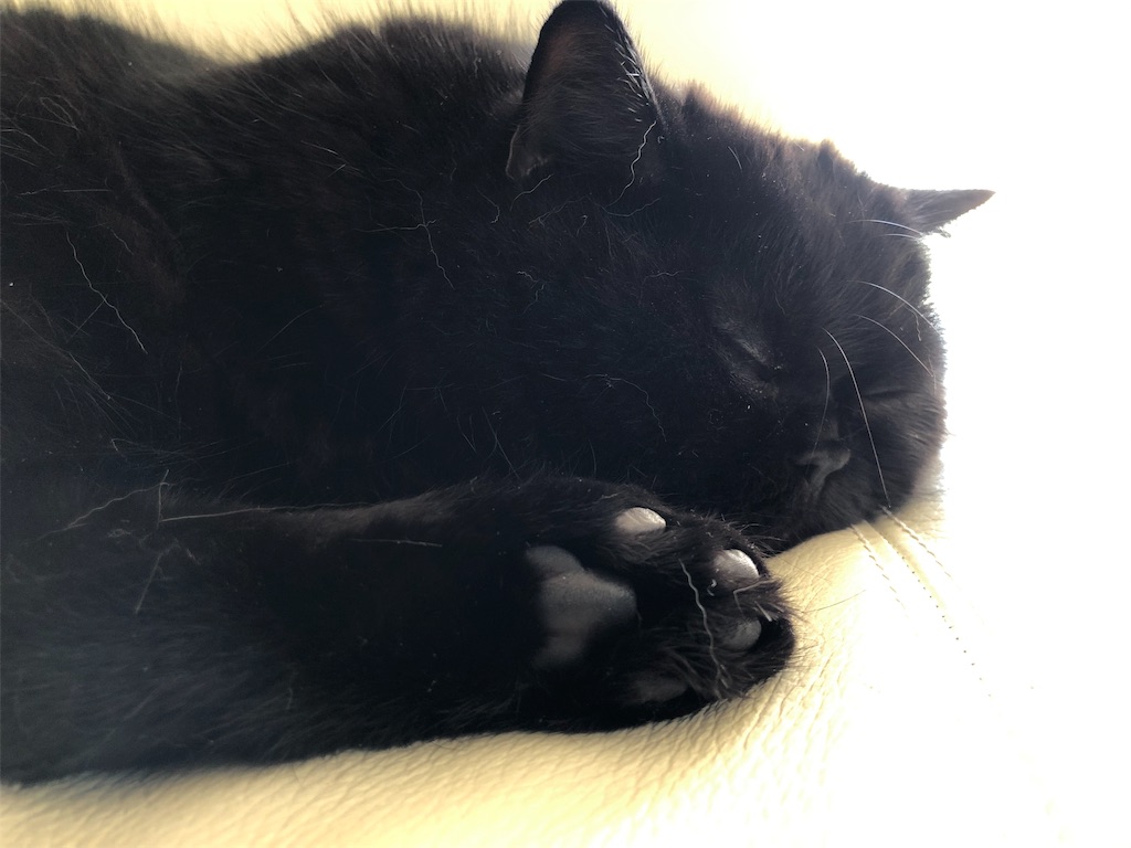 f:id:jtu:20191103230651j:image:w500