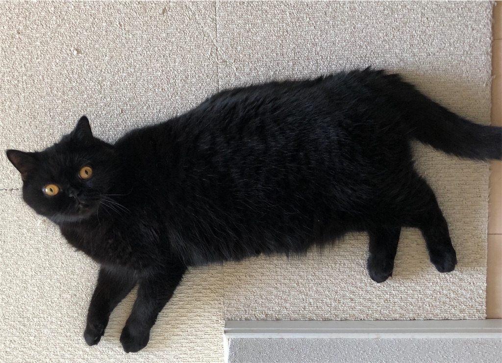 f:id:jtu:20200819232720j:plain