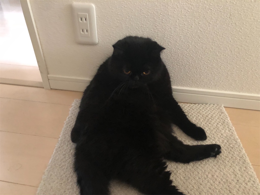 f:id:jtu:20200823233426j:plain