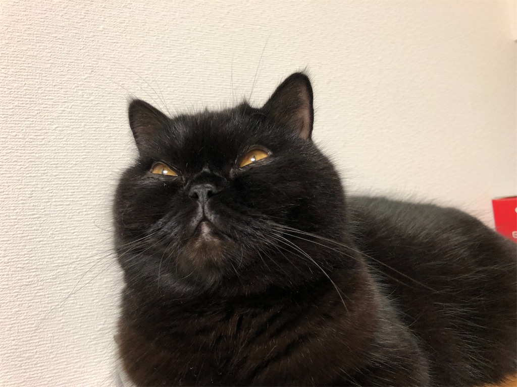 f:id:jtu:20200827234244j:plain