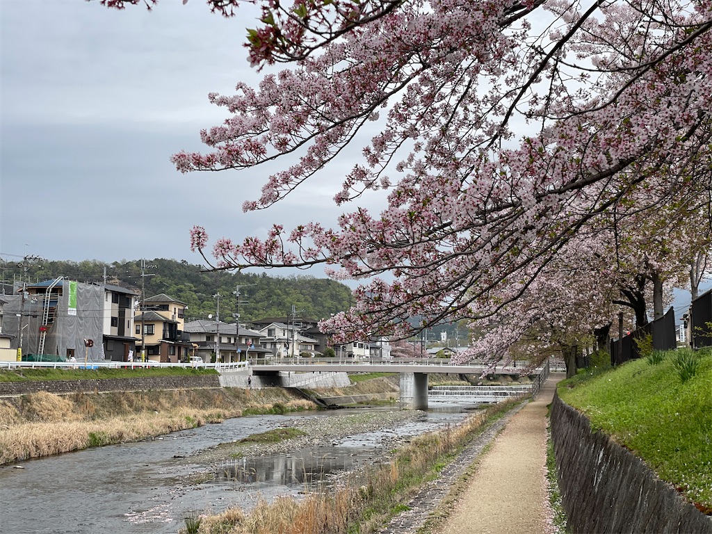 f:id:jtu:20210404234432j:plain