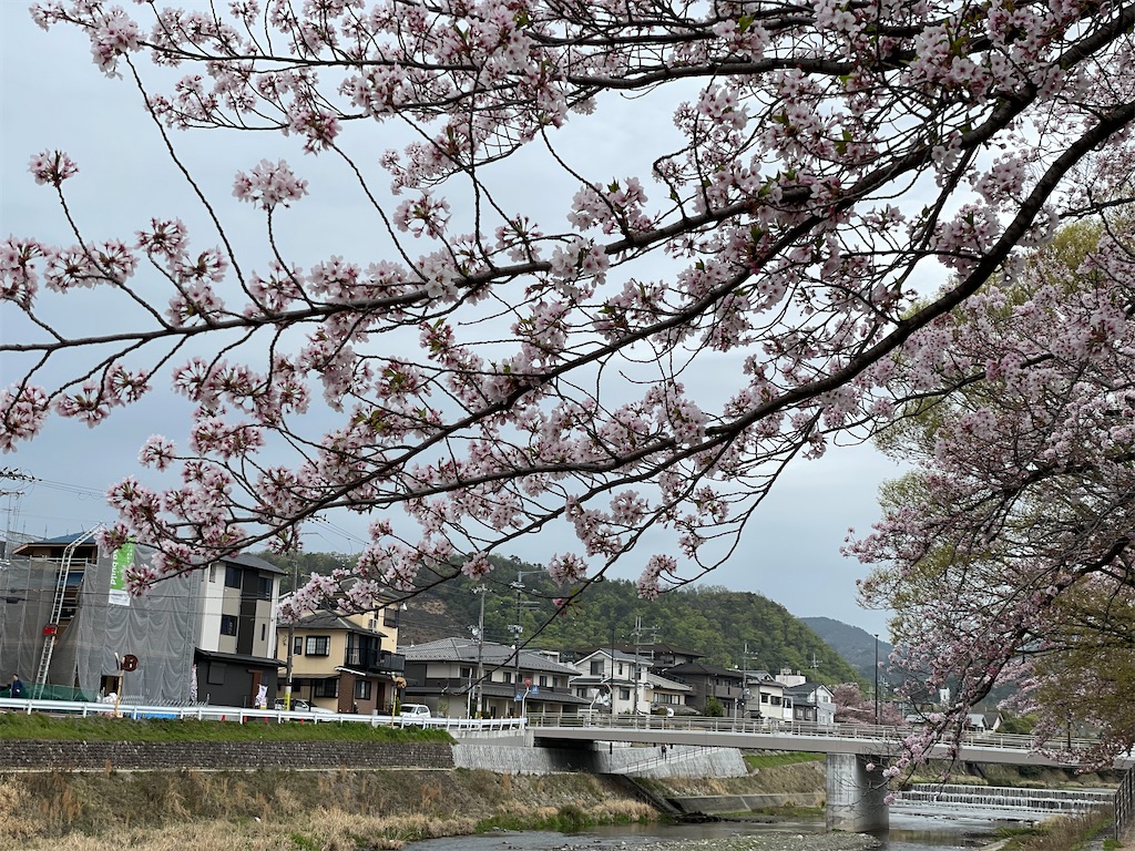 f:id:jtu:20210404234442j:plain