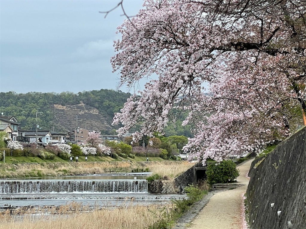 f:id:jtu:20210404234449j:plain