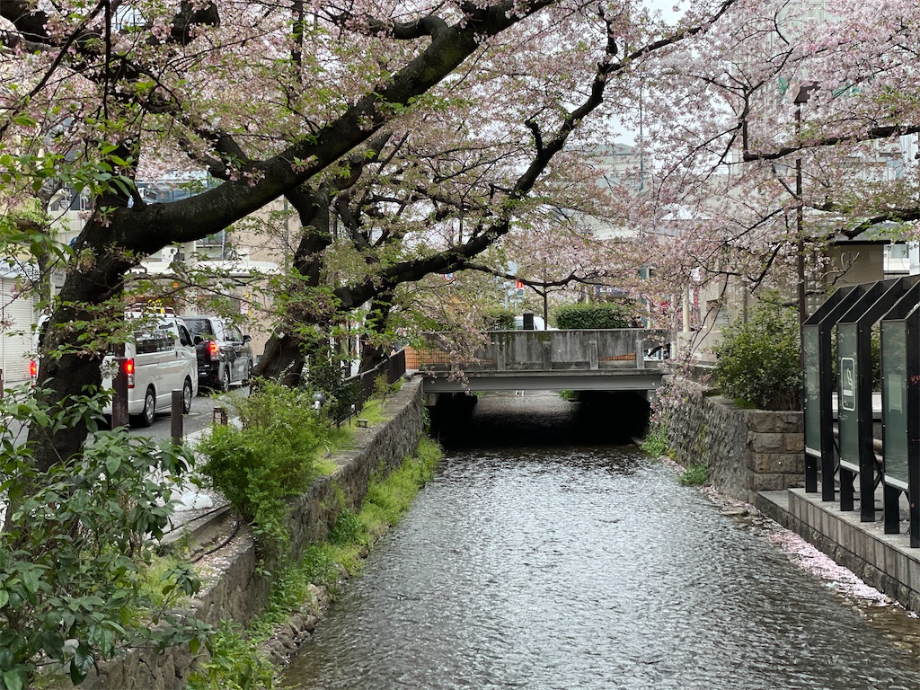 f:id:jtu:20210404234453j:plain