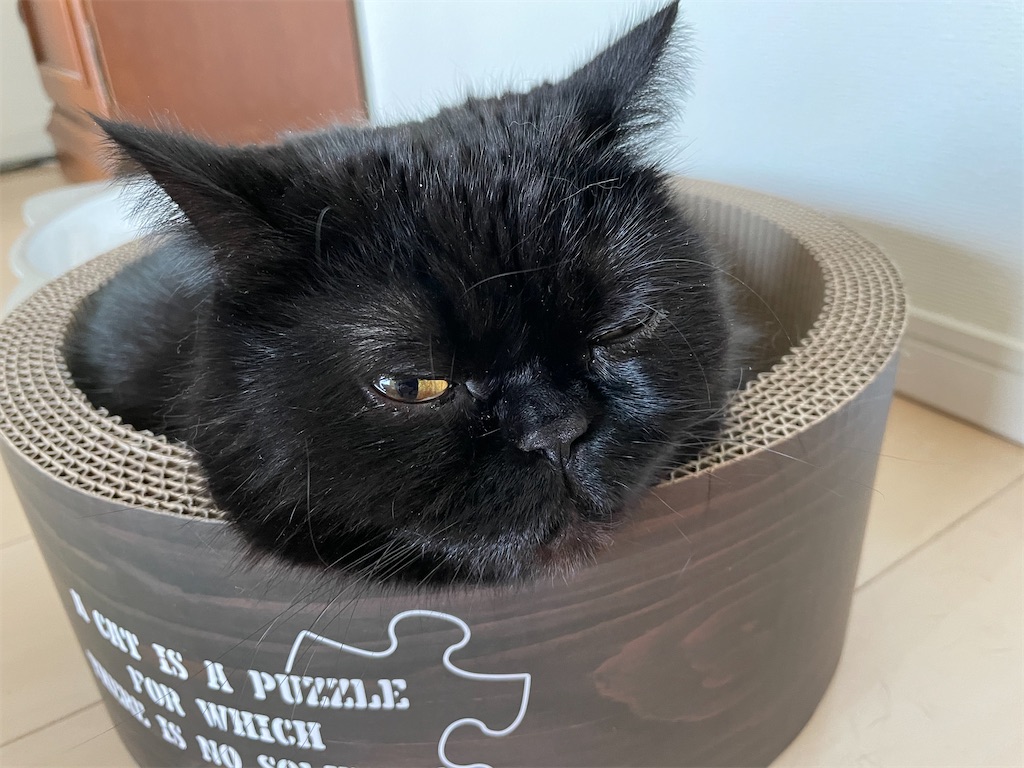 f:id:jtu:20210406234653j:plain