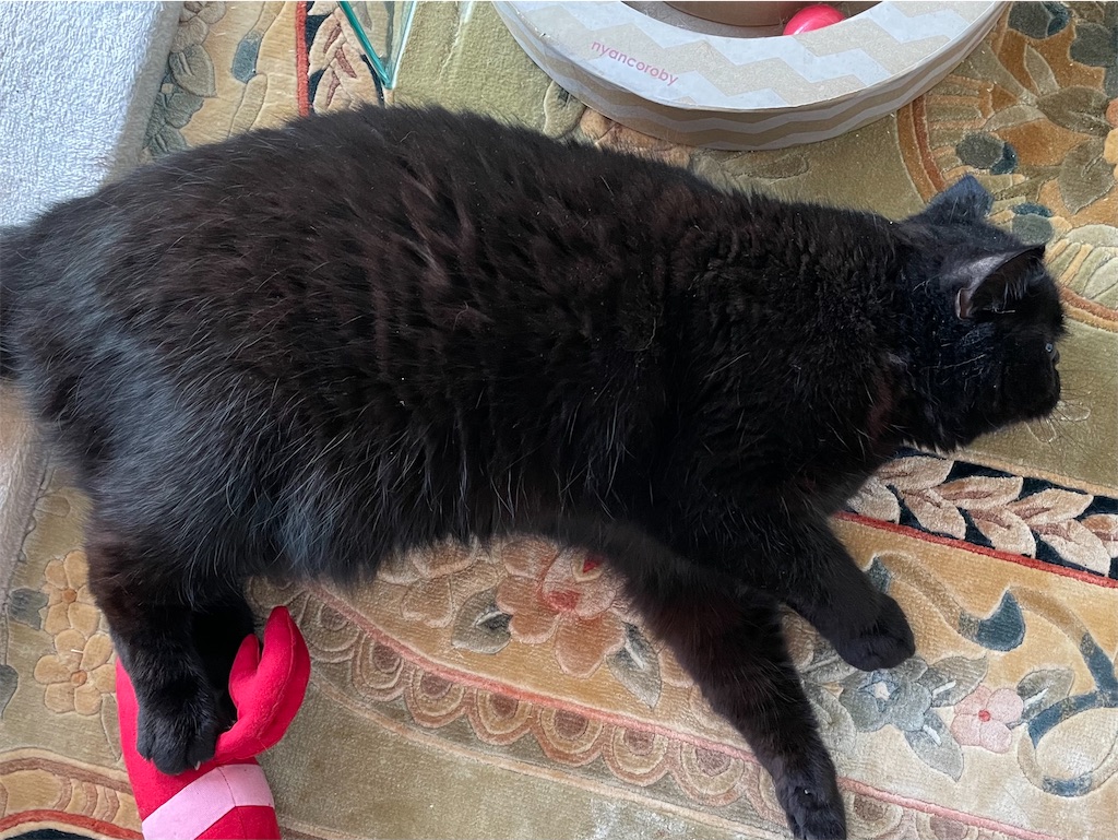 f:id:jtu:20210410214507j:plain