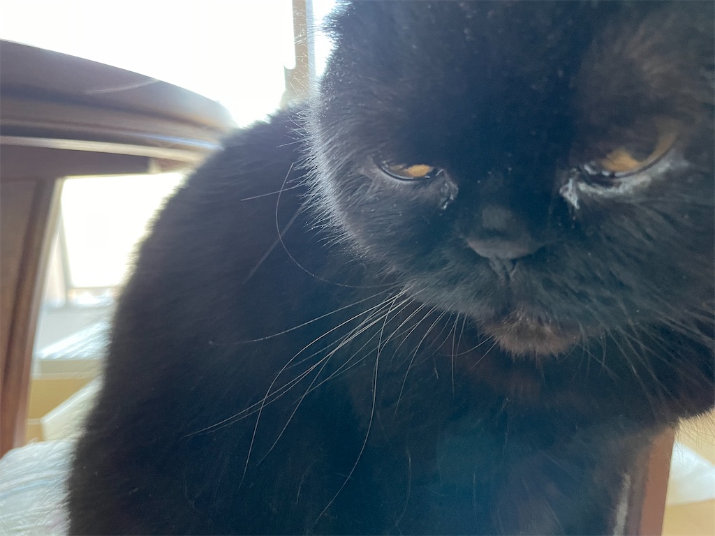 f:id:jtu:20210417010634j:plain