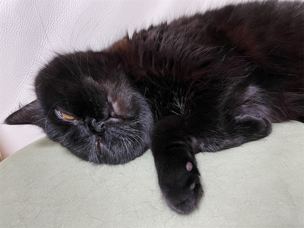 f:id:jtu:20210425002801j:plain