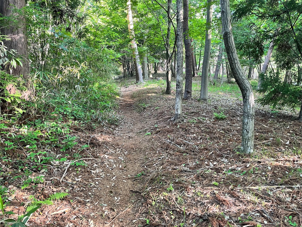 f:id:jtu:20210514130611j:plain