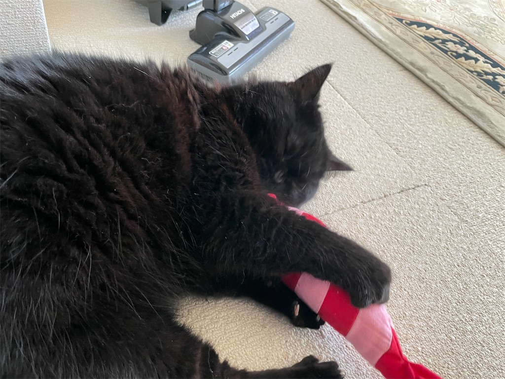 f:id:jtu:20210619095147j:plain