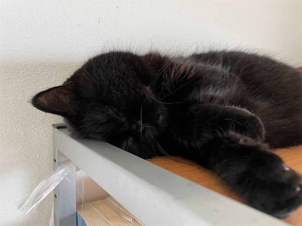 f:id:jtu:20210915234248j:plain