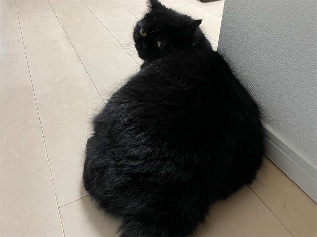 f:id:jtu:20211114065958j:plain