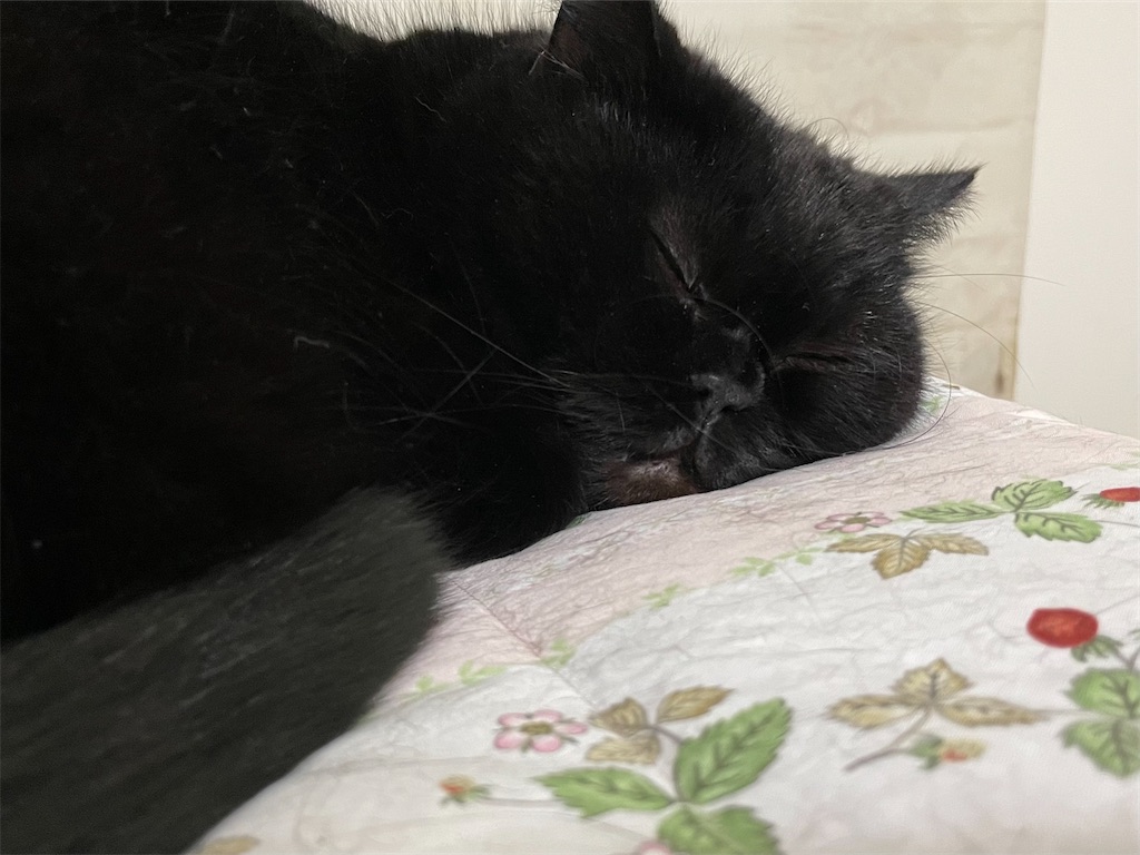 f:id:jtu:20211130233648j:plain