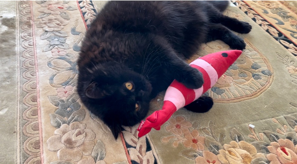 f:id:jtu:20220104224956j:plain