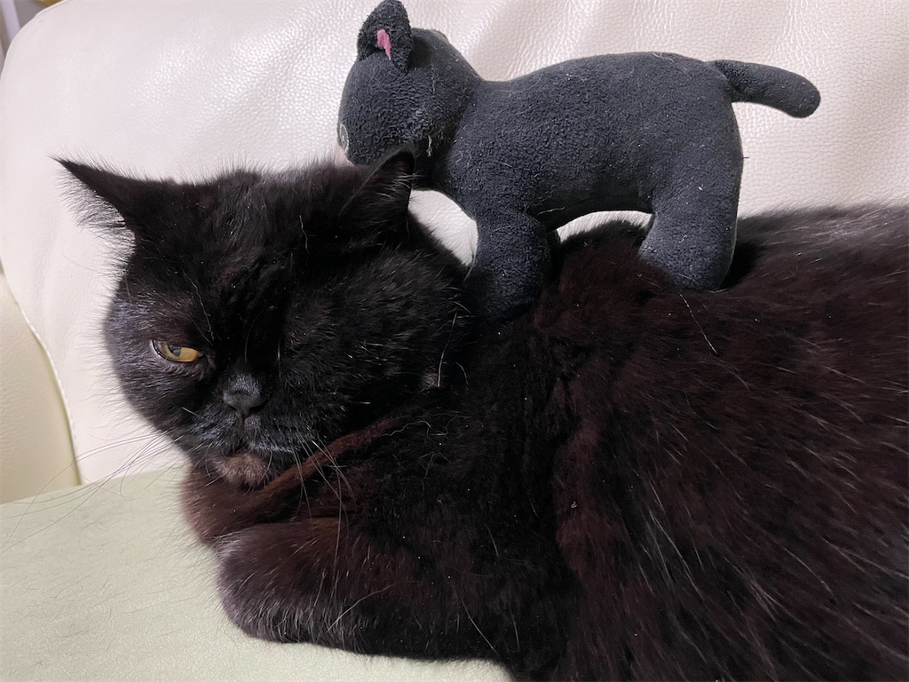 f:id:jtu:20220116002009j:plain