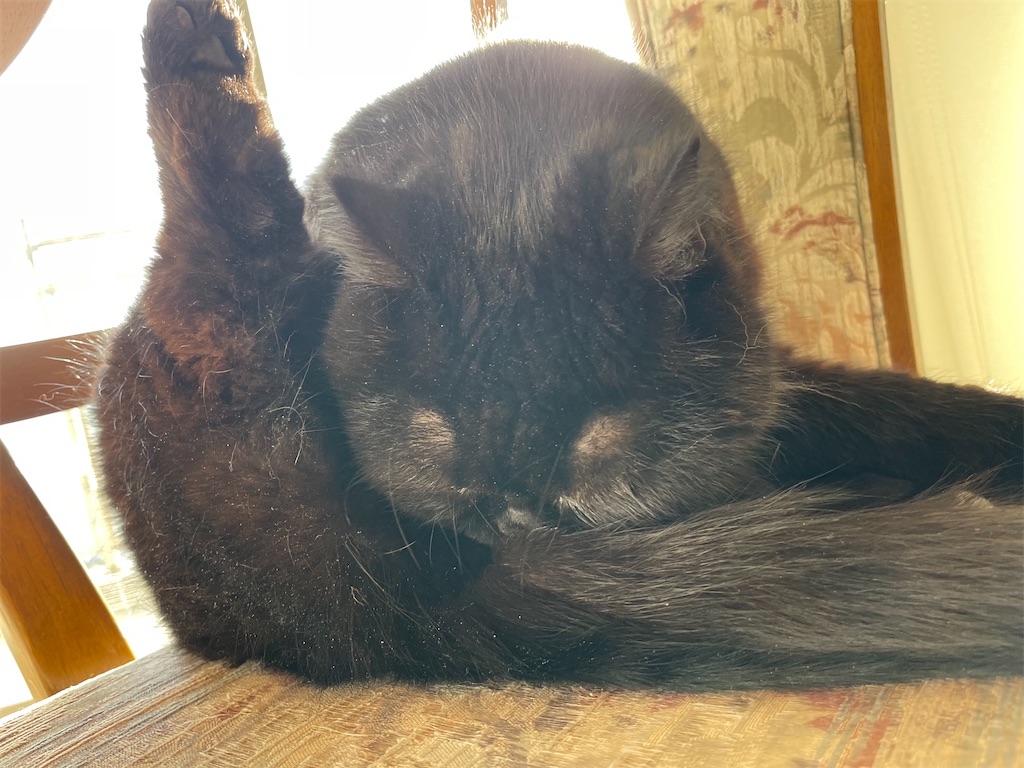 f:id:jtu:20220117001700j:plain