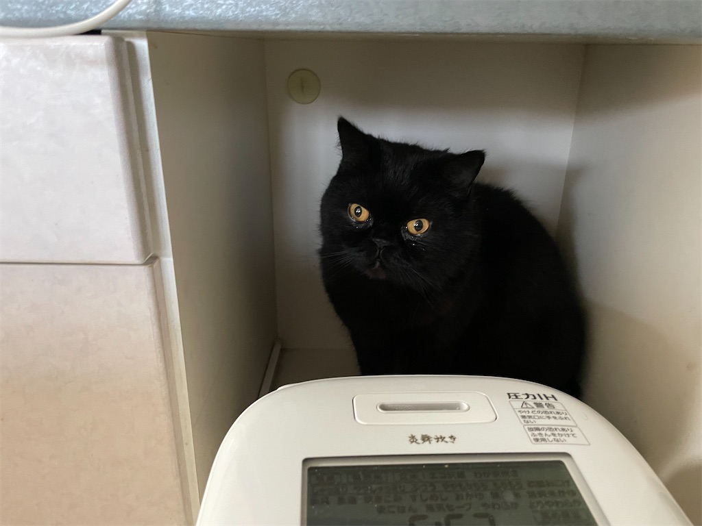 f:id:jtu:20220307120426j:plain