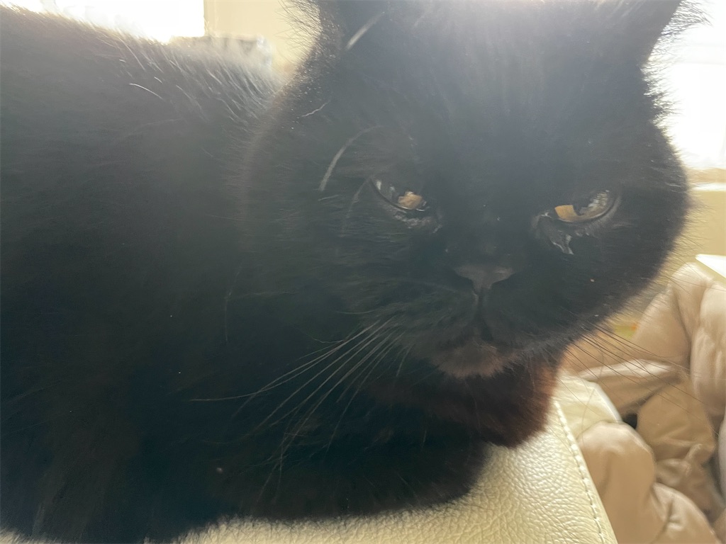 f:id:jtu:20220312234654j:plain