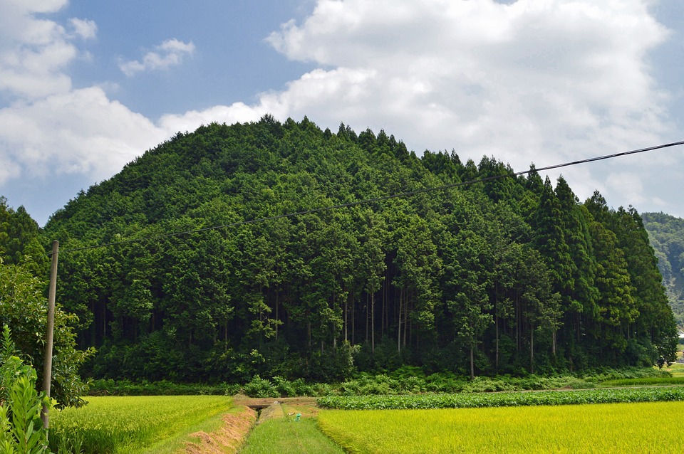 f:id:juNichi:20190307232718j:plain