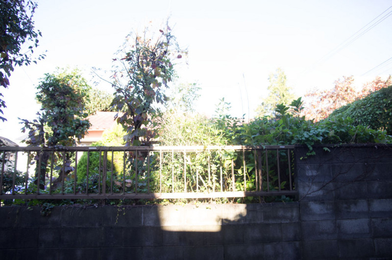 f:id:juangotoh:20111112082018j:plain f:id:juangotoh:20111112082018j:plain