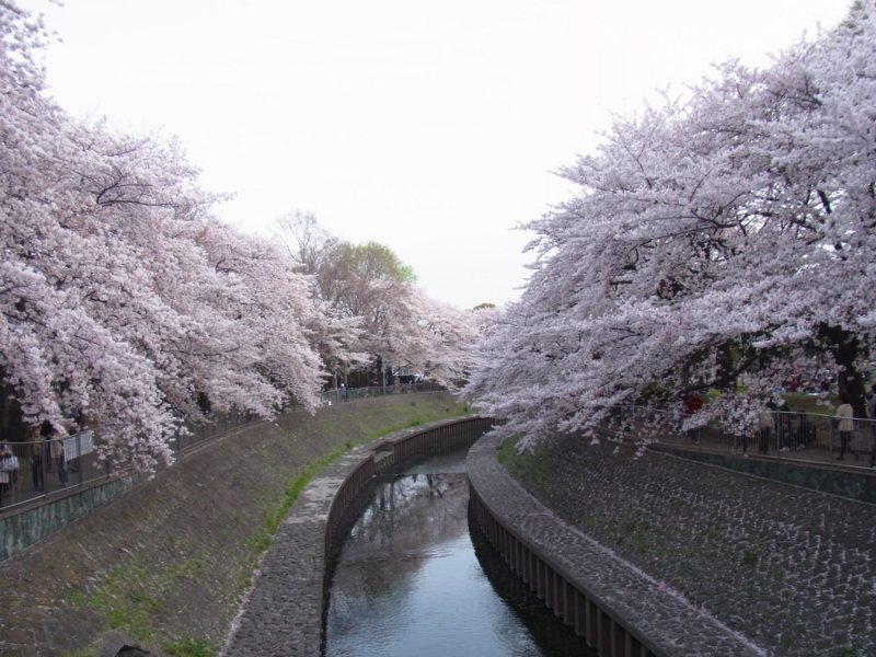 f:id:jubilee86:20110410164013j:image:h150 f:id:jubilee86:20110410164013j:image:h150