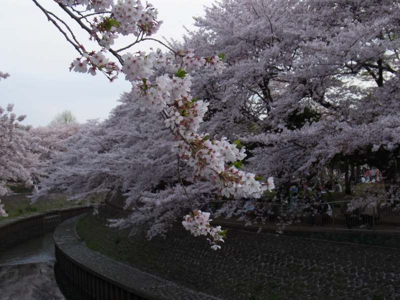 f:id:jubilee86:20110410164115j:image:h150 f:id:jubilee86:20110410164115j:image:h150
