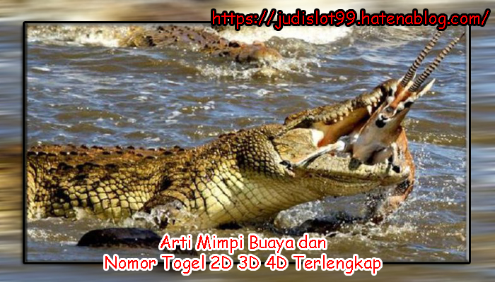 8+ Arti Mimpi Digigit Buaya Dalam Togel