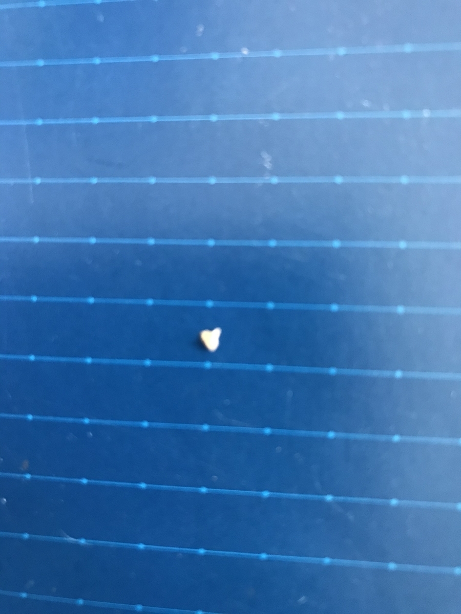 f:id:jugetarou:20191015103123j:plain f:id:jugetarou:20191015103123j:plain