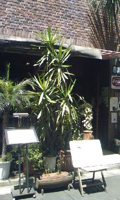 f:id:jugoya:20080527123112j:image f:id:jugoya:20080527123112j:image