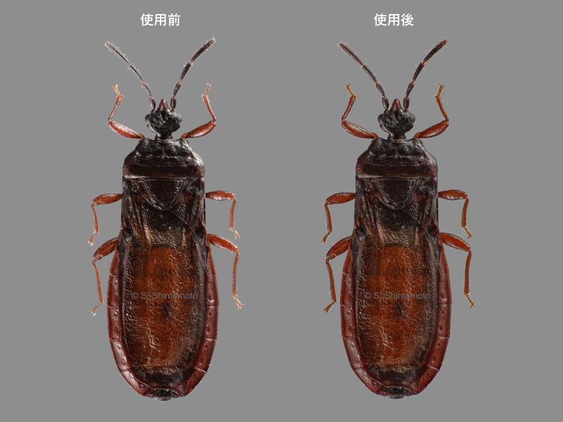 f:id:juhika:20210206151208j:plain