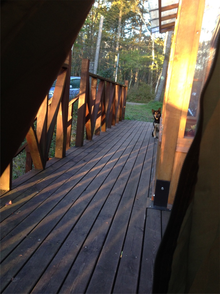 オッハァァァァァァァァァァァ 激寒 Ninja1000とじゅいちの記録