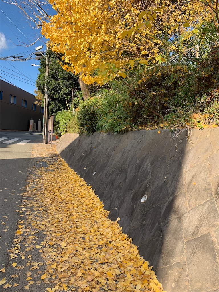 f:id:jujikamm:20191129160445j:image