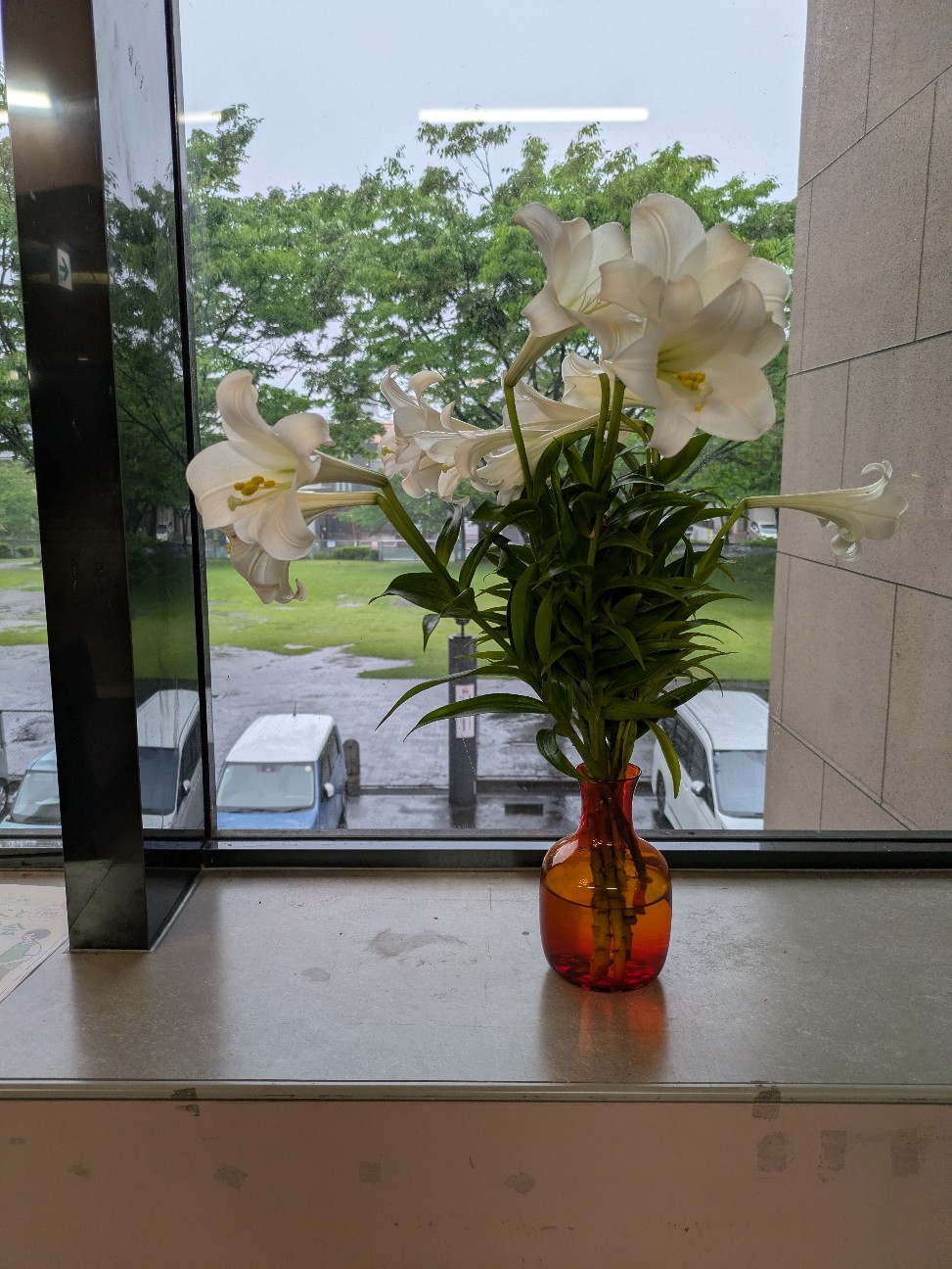 f:id:jujikamm:20260603213102j:image