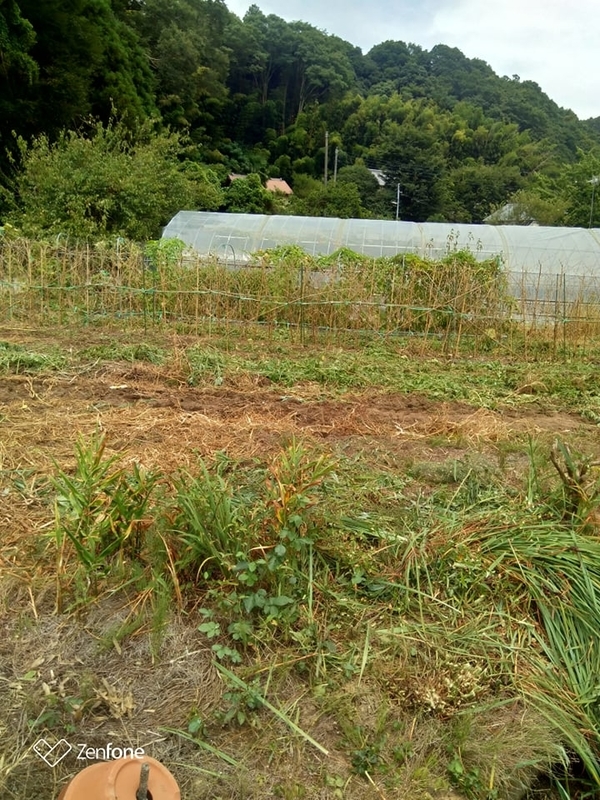 イメージ 2