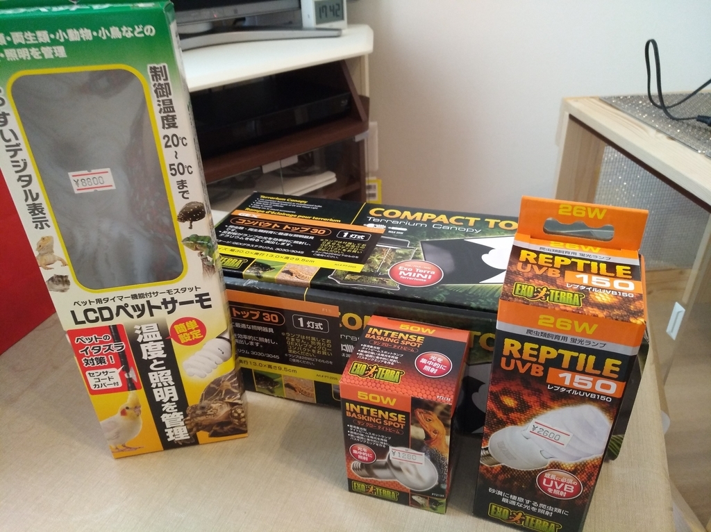 f:id:juju_reptile:20180913231807j:plain f:id:juju_reptile:20180913231807j:plain