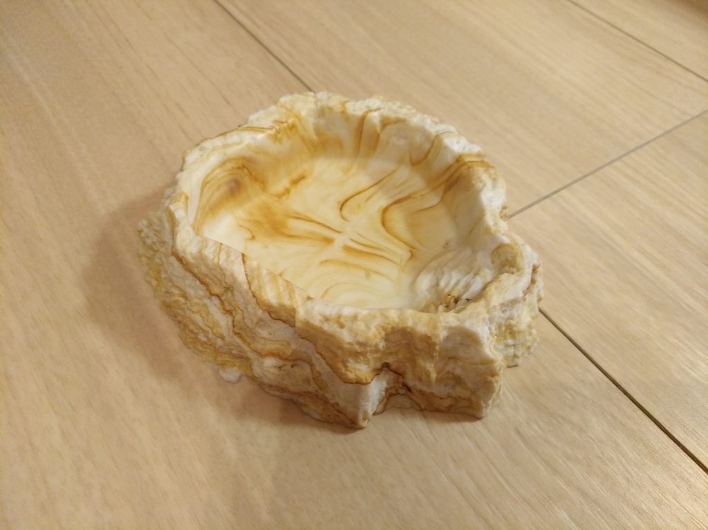 f:id:juju_reptile:20180923223653j:plain f:id:juju_reptile:20180923223653j:plain