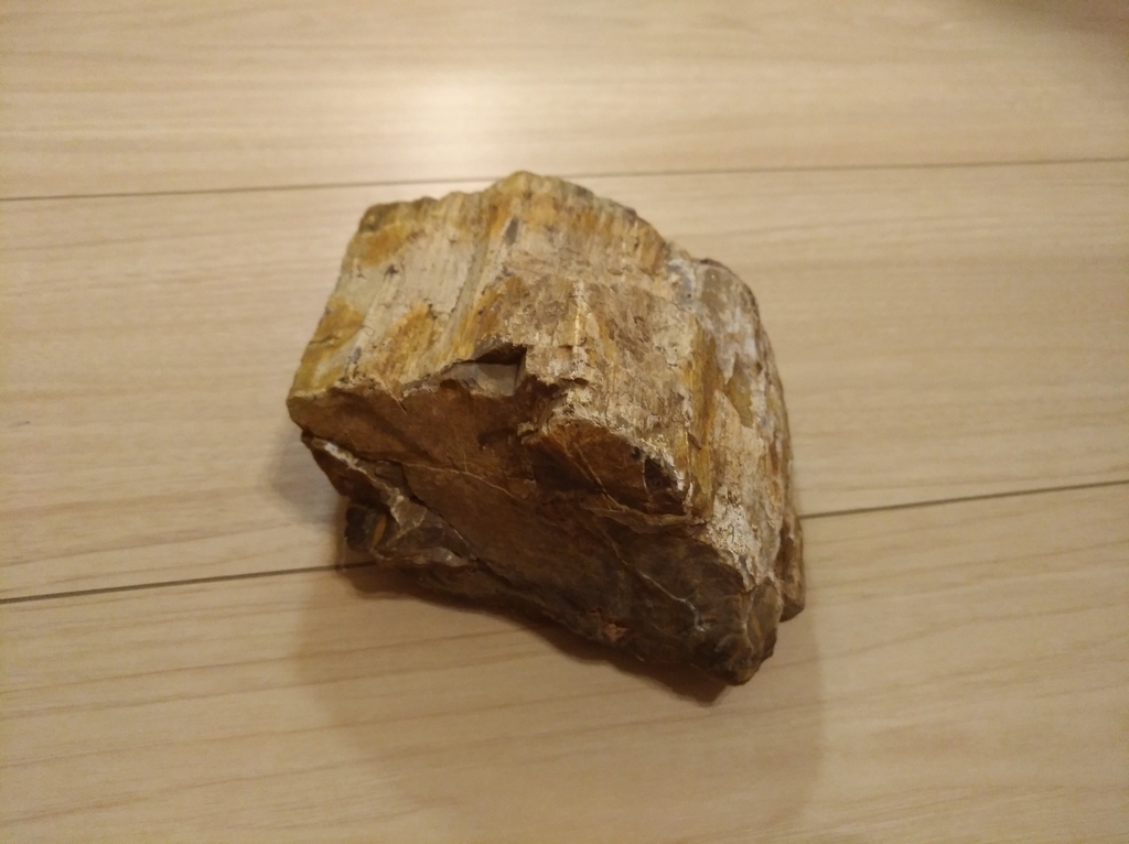 f:id:juju_reptile:20180923223831j:plain f:id:juju_reptile:20180923223831j:plain