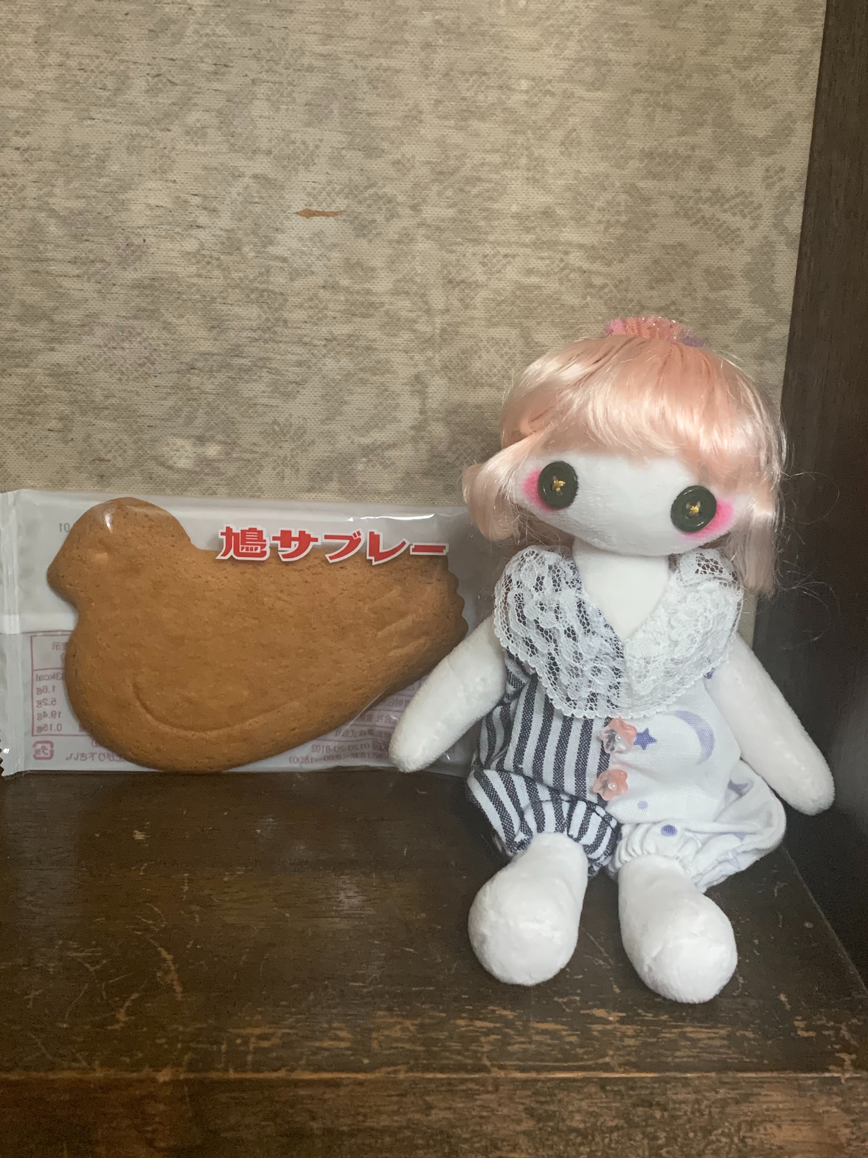 f:id:jukai666:20241231194806j:image