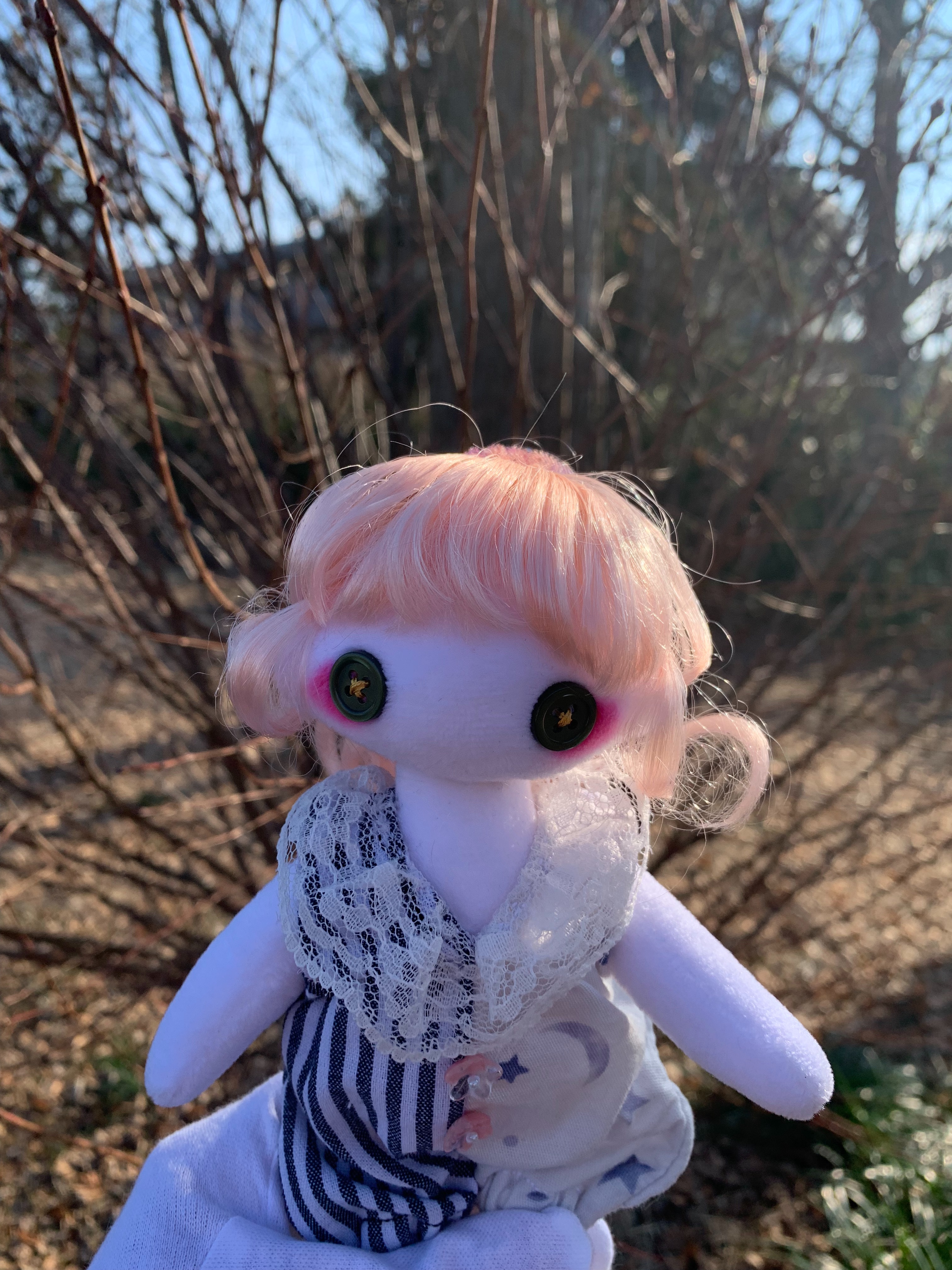 f:id:jukai666:20250120102505j:image