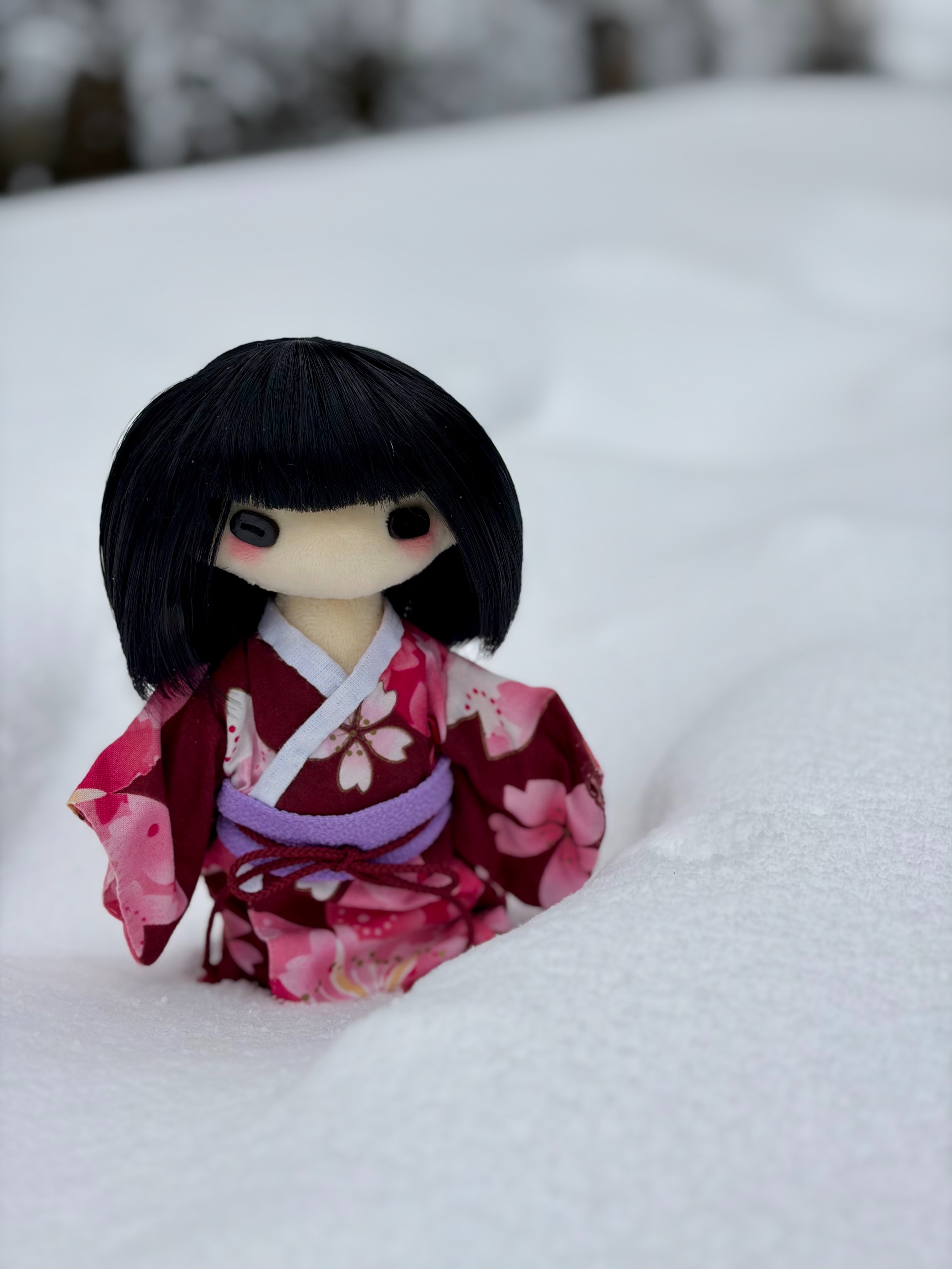 f:id:jukai666:20260208142250j:image