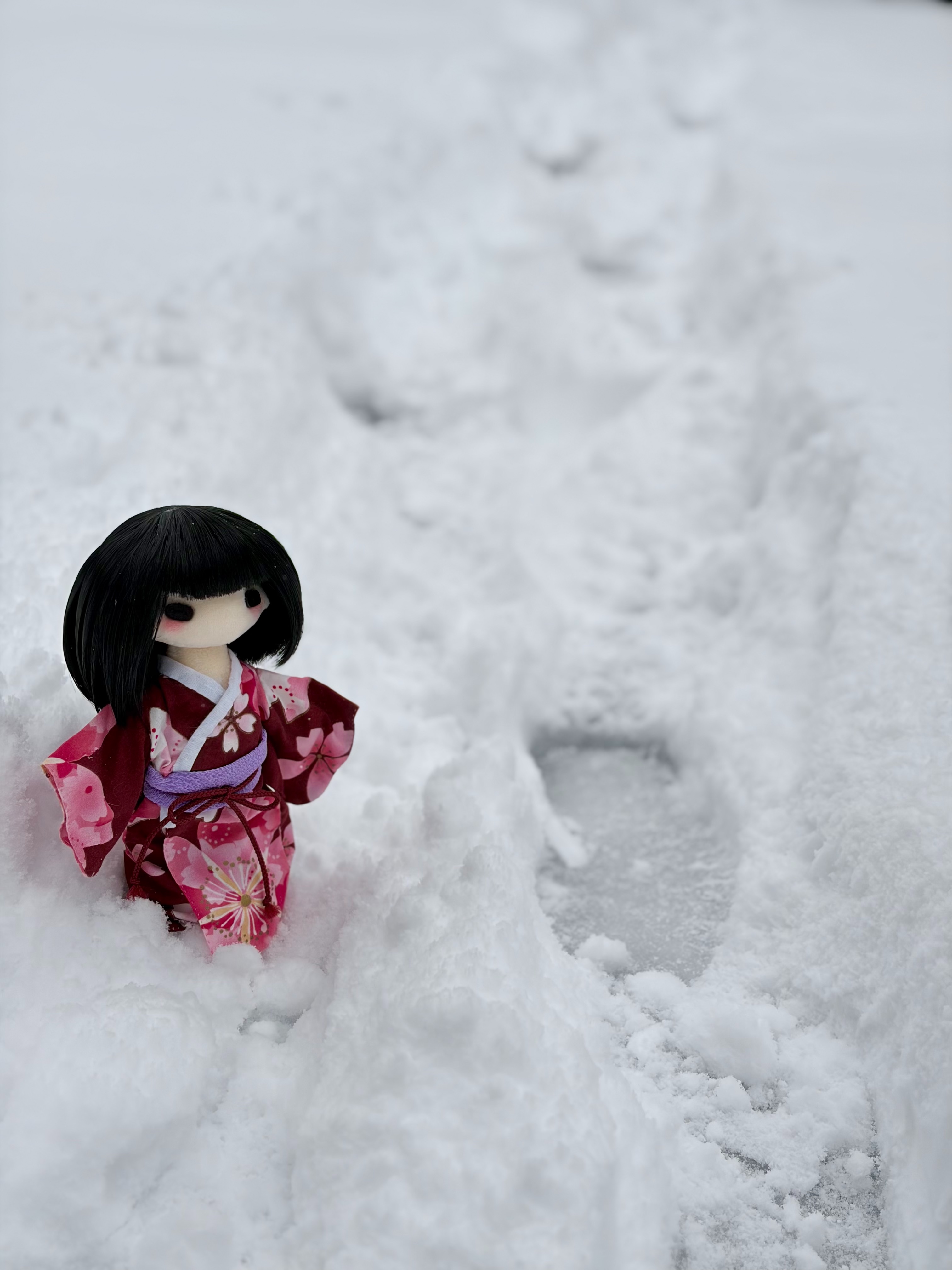 f:id:jukai666:20260208142253j:image