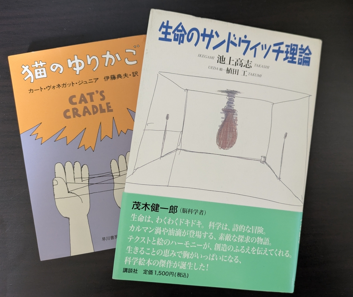 猫のゆりかご