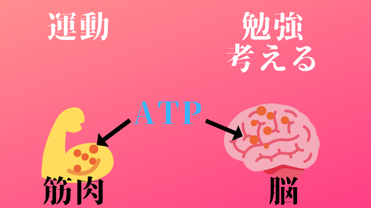 f:id:jukintore:20190328095721p:plain f:id:jukintore:20190328095721p:plain
