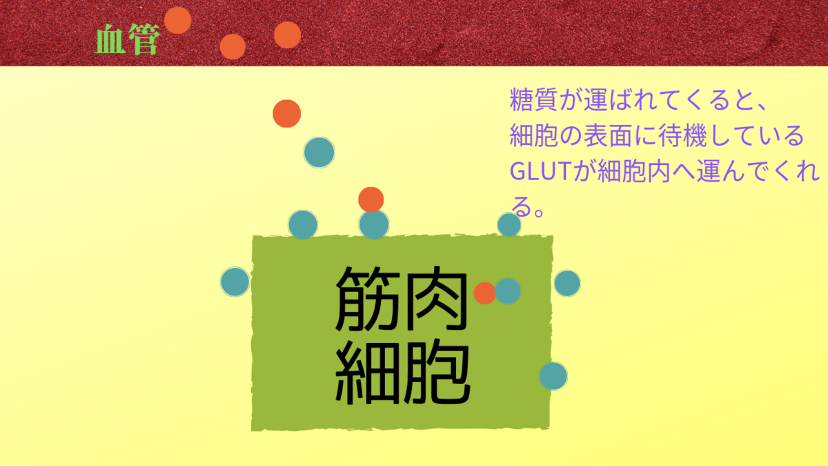 f:id:jukintore:20190329082006p:plain f:id:jukintore:20190329082006p:plain