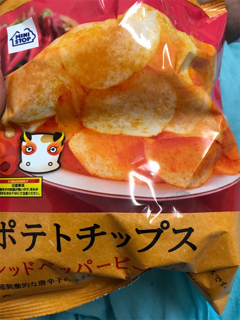 f:id:jukukirai:20170523174947j:image