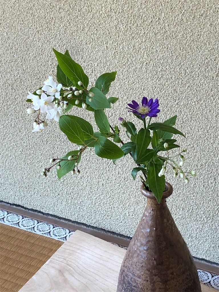 f:id:julyjulydawn:20190413110940j:image f:id:julyjulydawn:20190413110940j:image