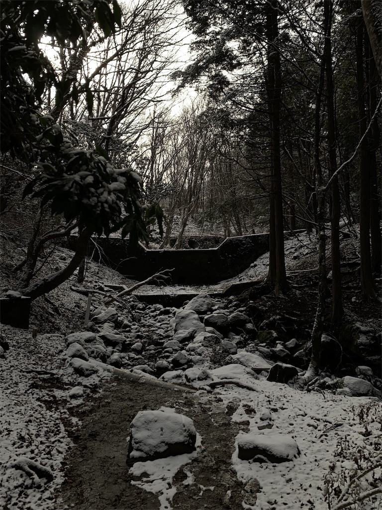 f:id:jun-1999-5-23:20190309014420j:image
