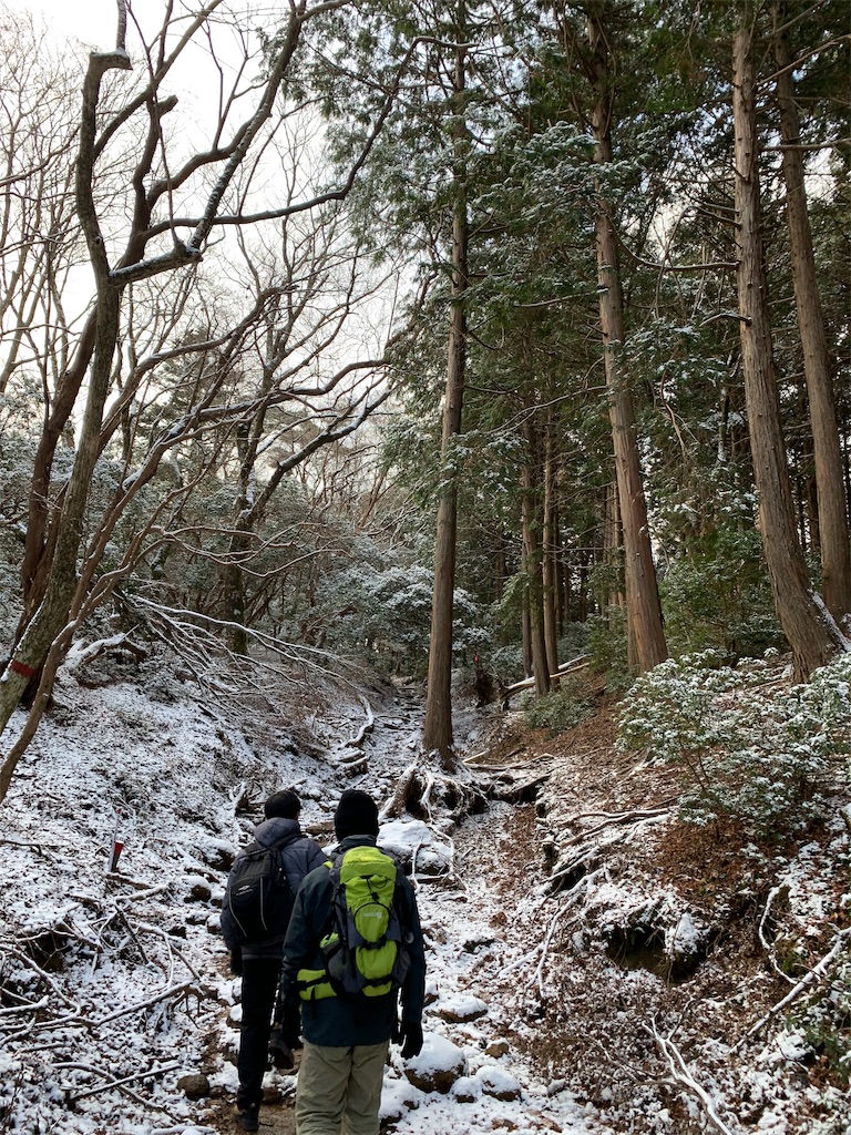 f:id:jun-1999-5-23:20190309014806j:image