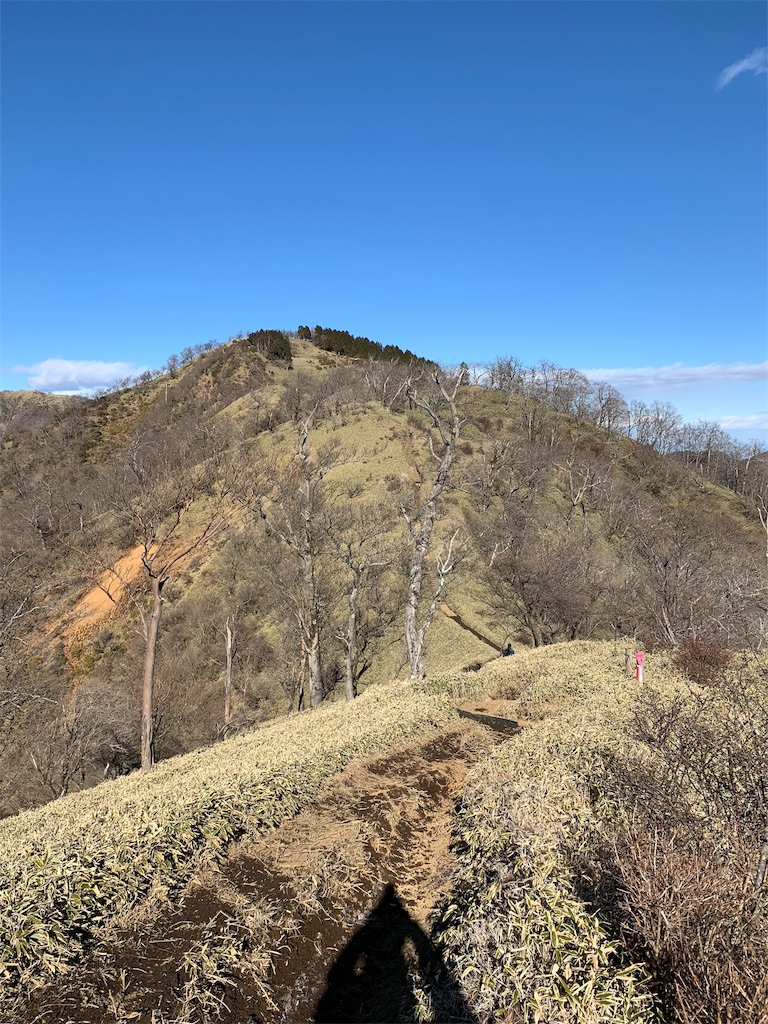 f:id:jun-1999-5-23:20190311014650j:image