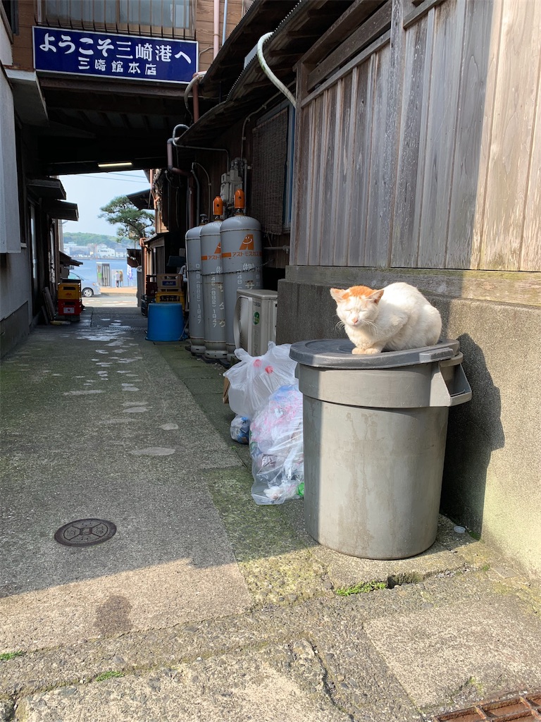 f:id:jun-1999-5-23:20190508224423j:image